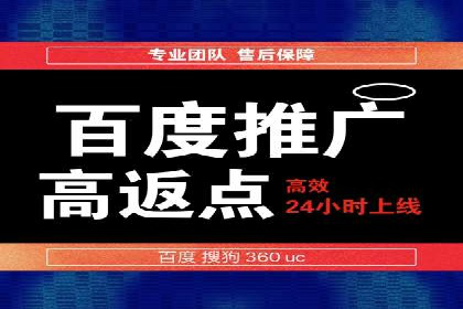 搜索引擎营销（SEM）在本地市场的应用案例